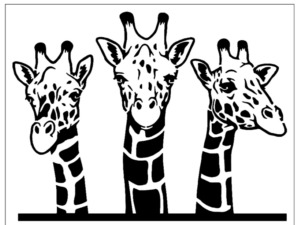 Animals