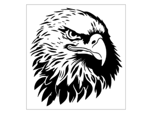 Eagle Face Stencil