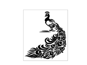 Peacock Stencil